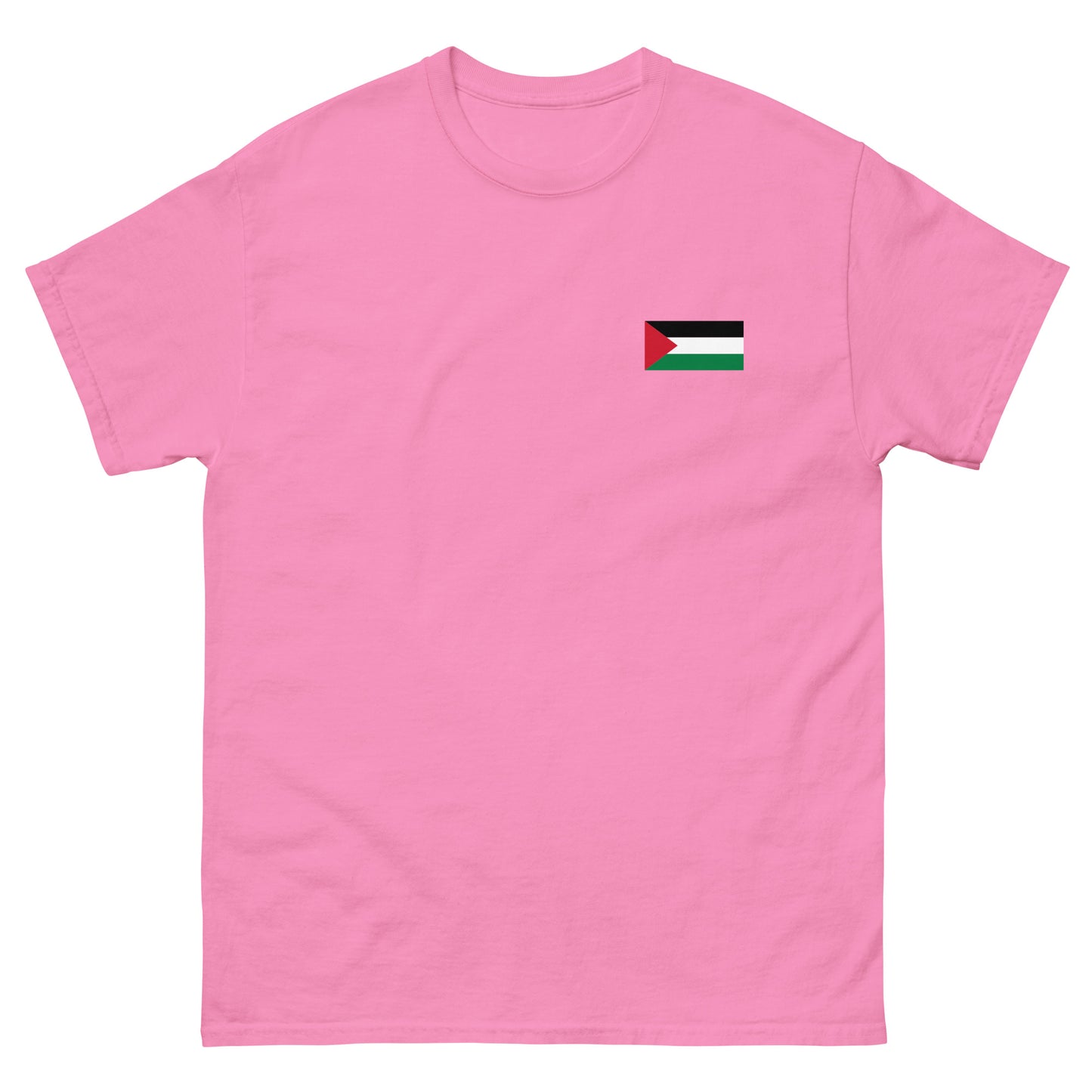 Palestine Flag Men's Printed tee