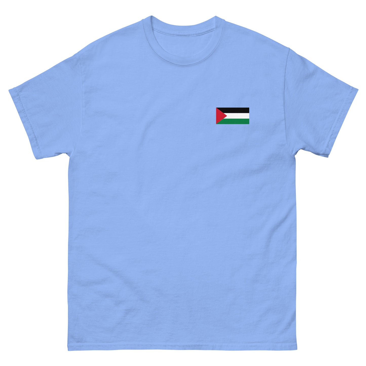 Palestine Flag Men's Printed tee