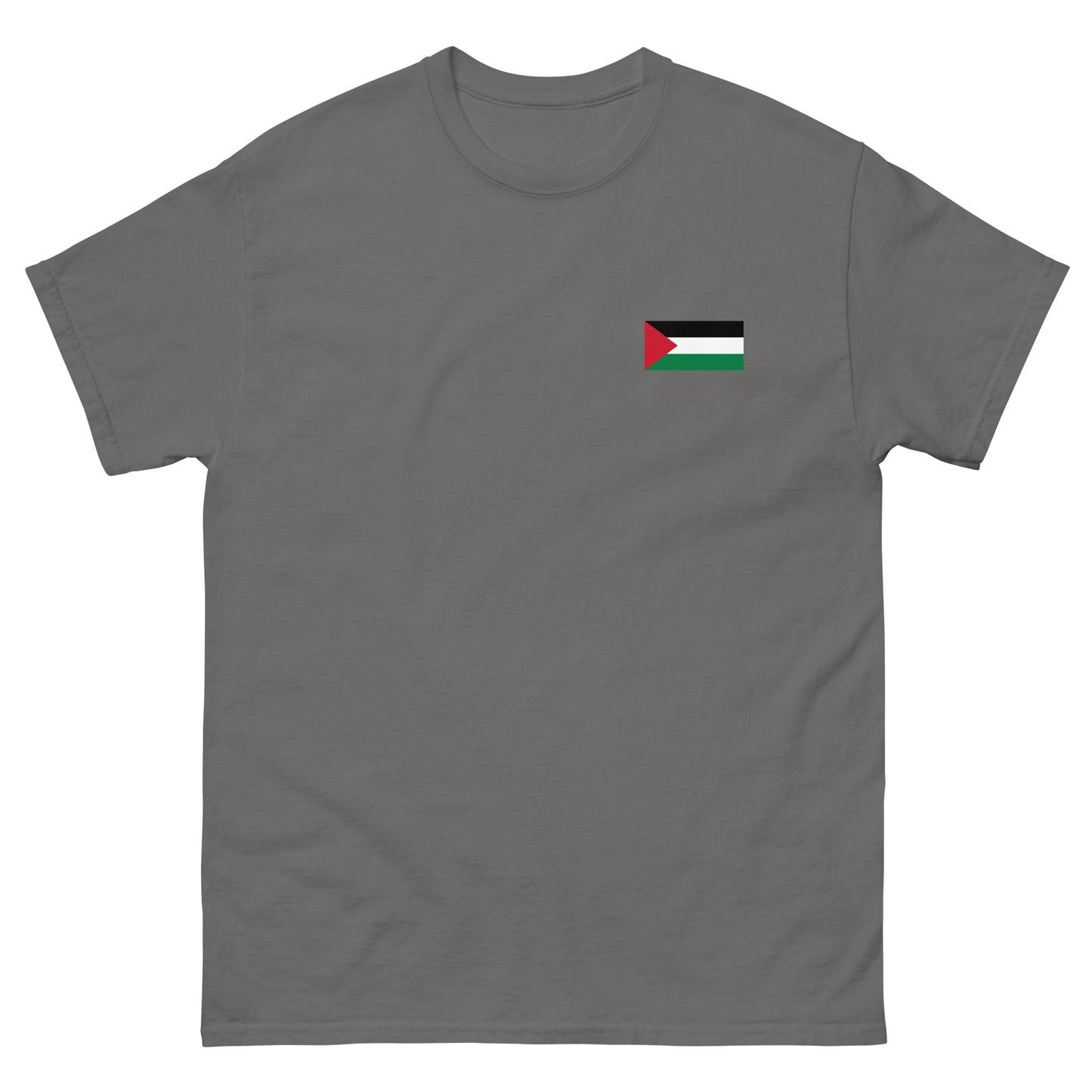 Palestine Flag Men's Printed tee