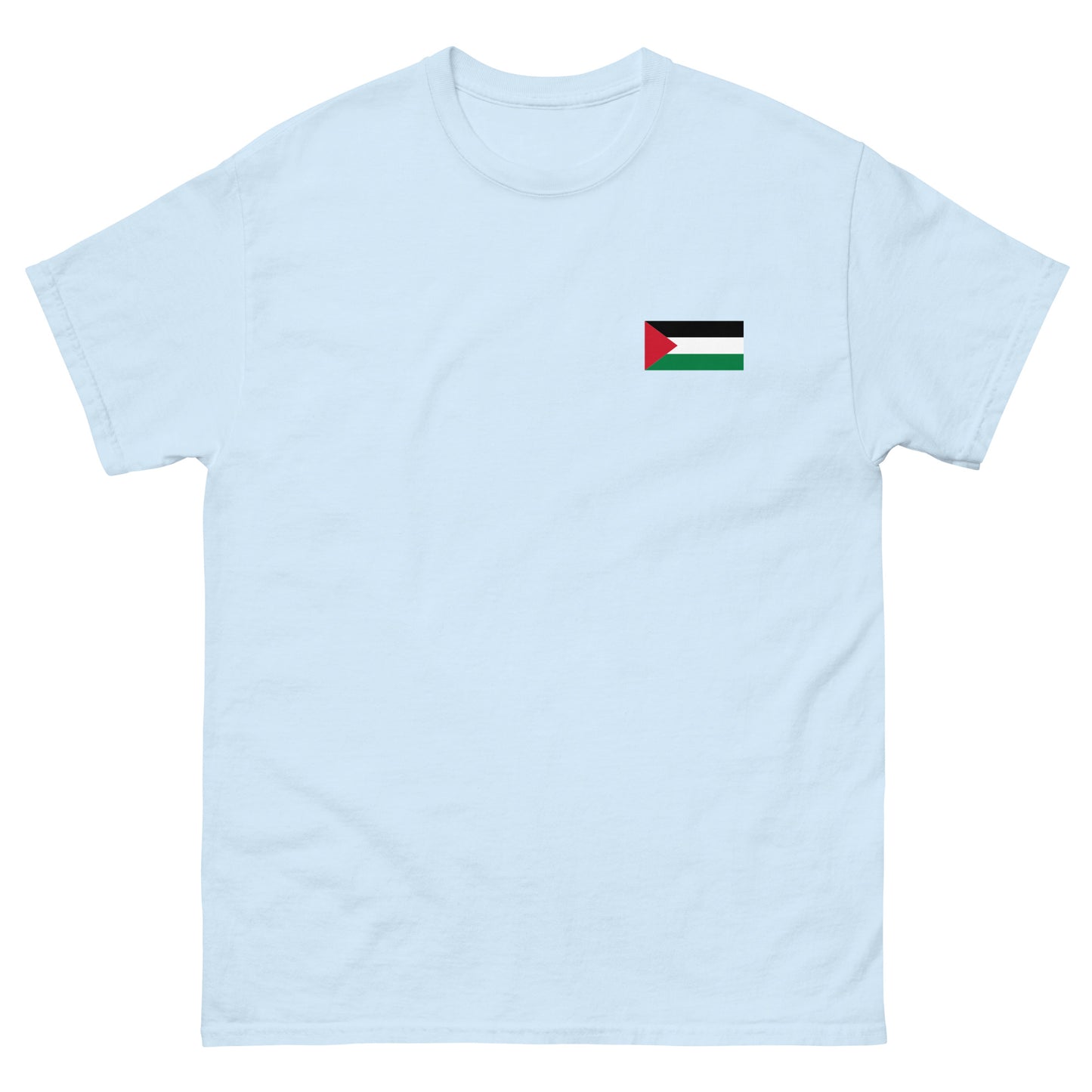 Palestine Flag Men's Printed tee