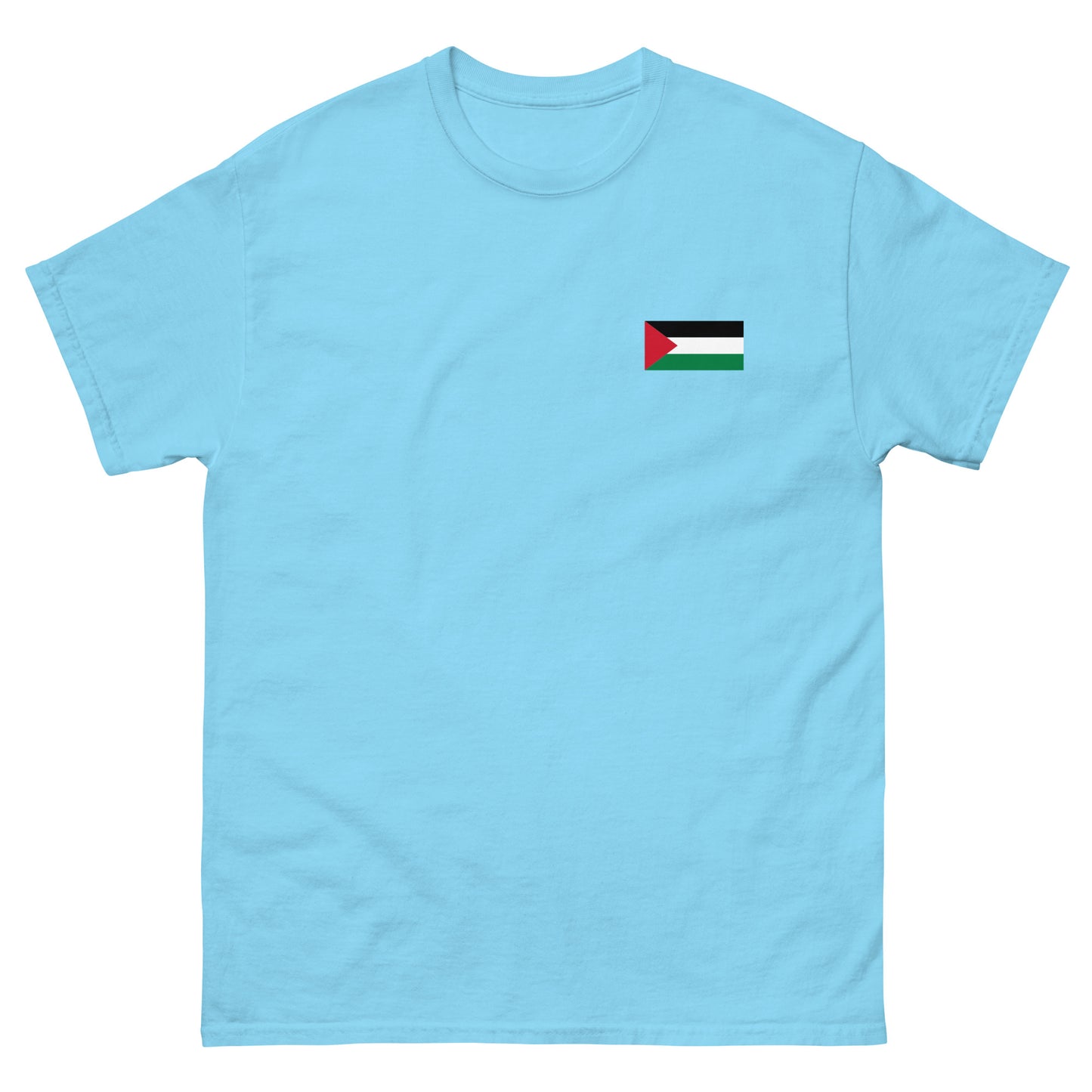 Palestine Flag Men's Printed tee