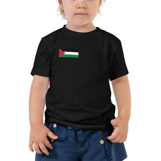 Flag Toddler Printed Tee