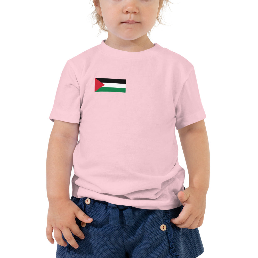 Flag Toddler Printed Tee