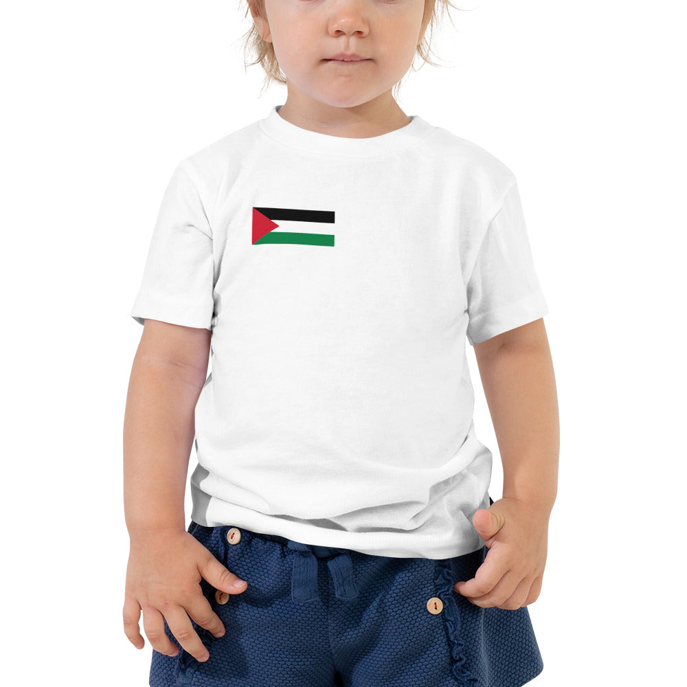 Flag Toddler Printed Tee