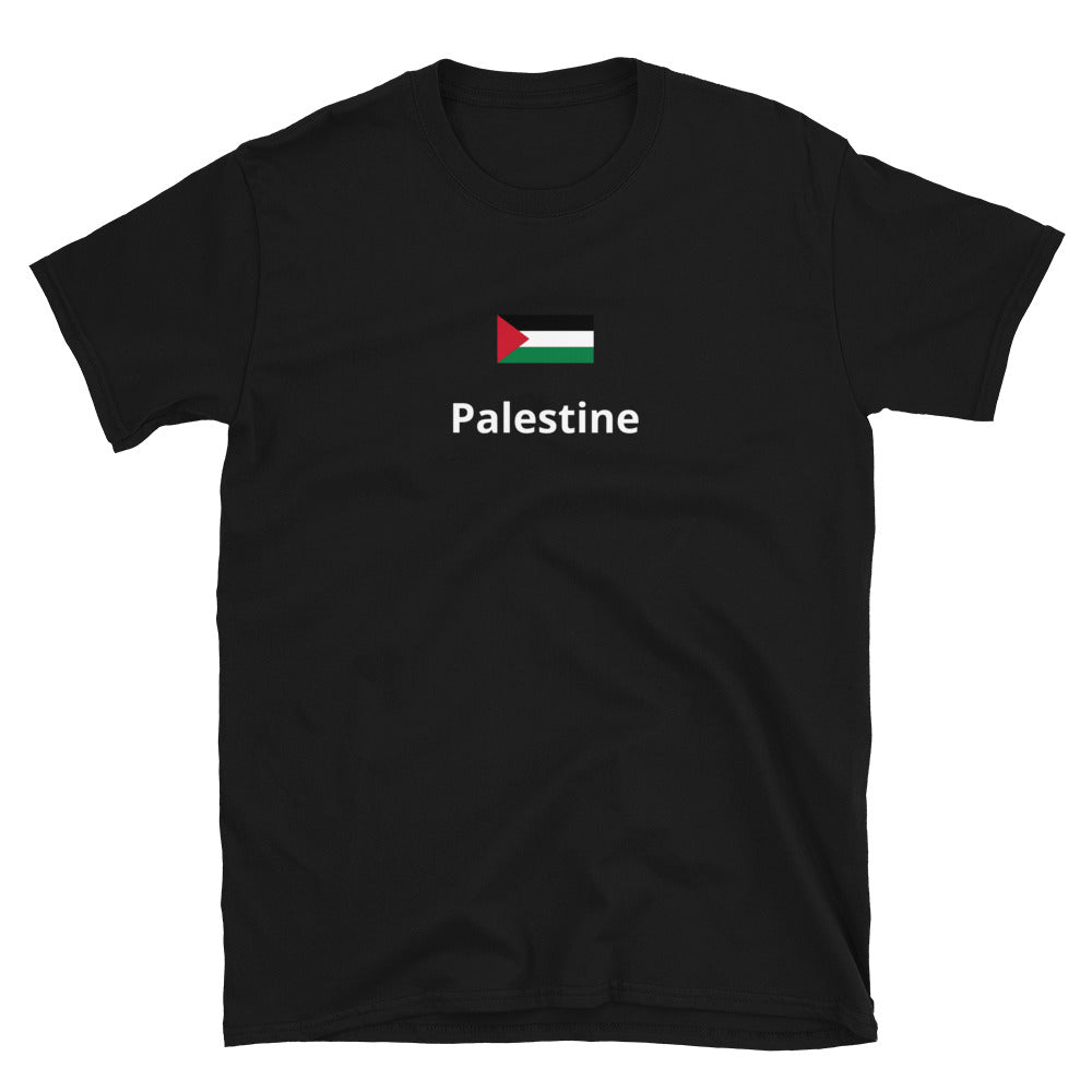 “Palestine” Unisex Printed tee