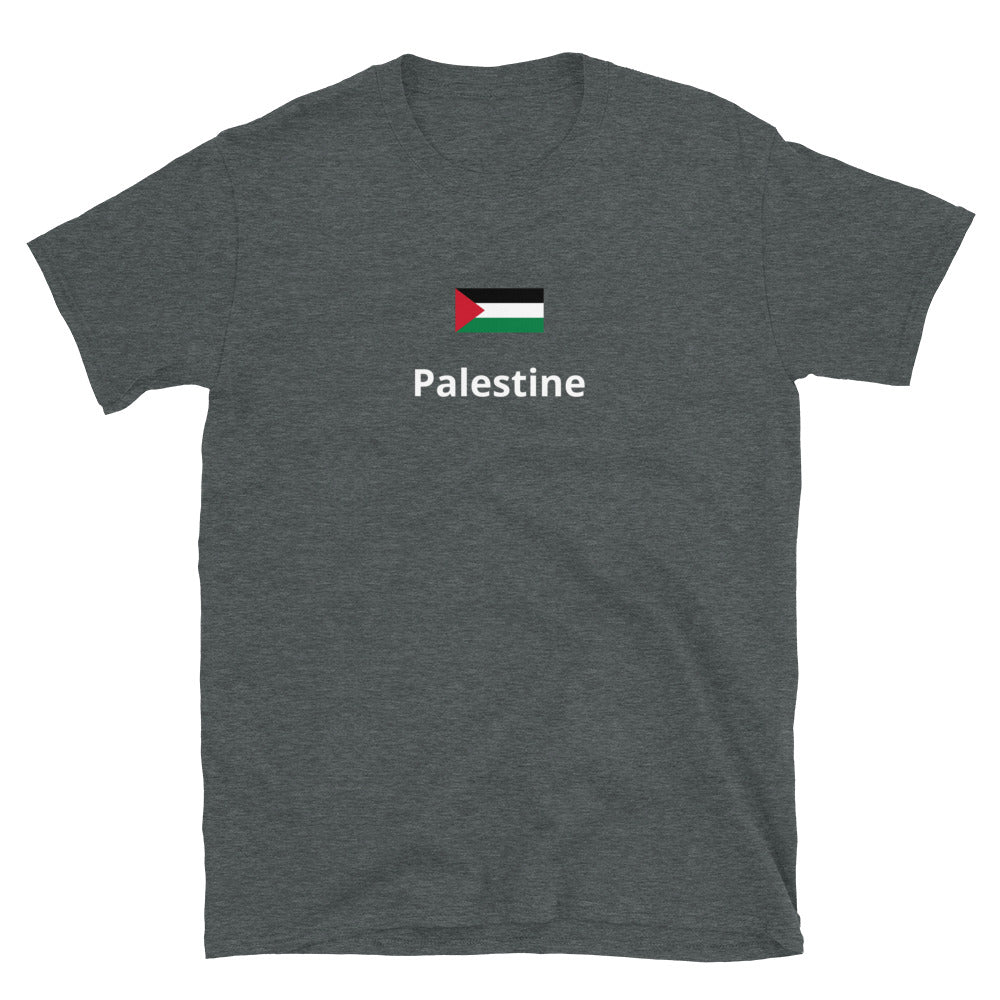 “Palestine” Unisex Printed tee