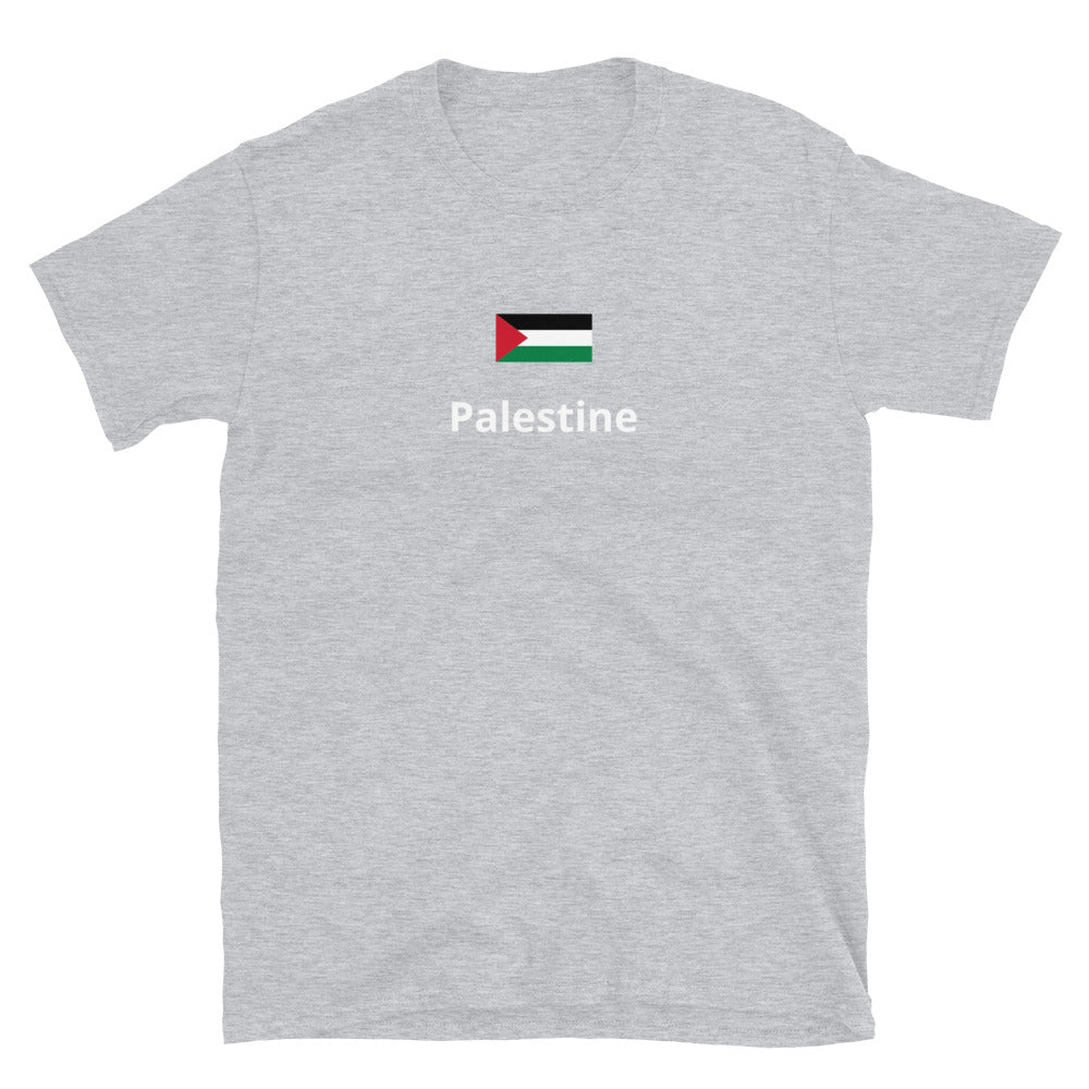 “Palestine” Unisex Printed tee