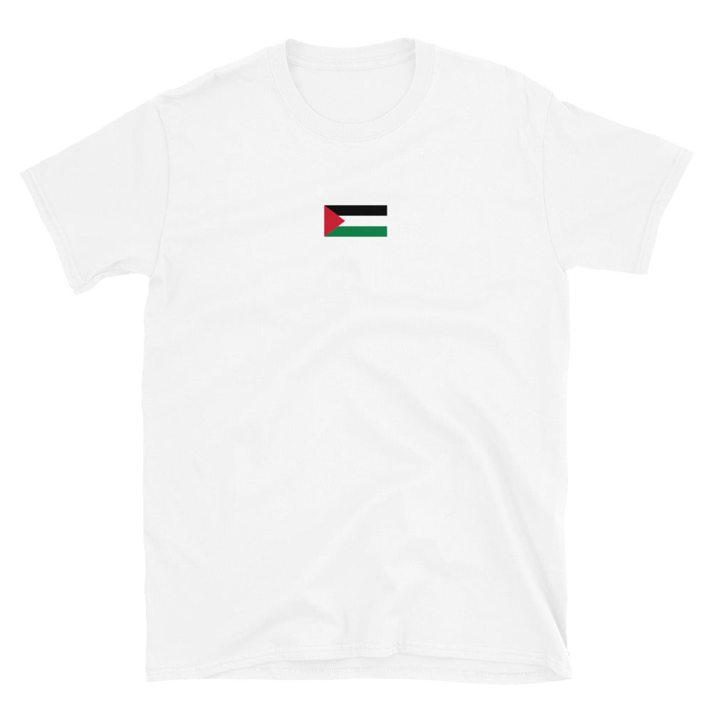 “Palestine” Unisex Printed tee