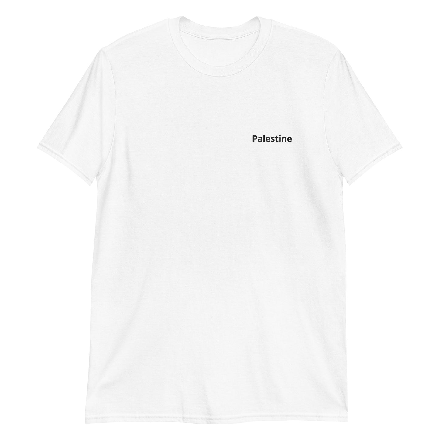 Basic "Palestine" Unisex Embroidered tee