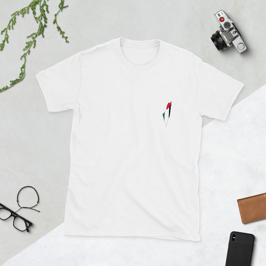 Palestine Unisex Printed tee